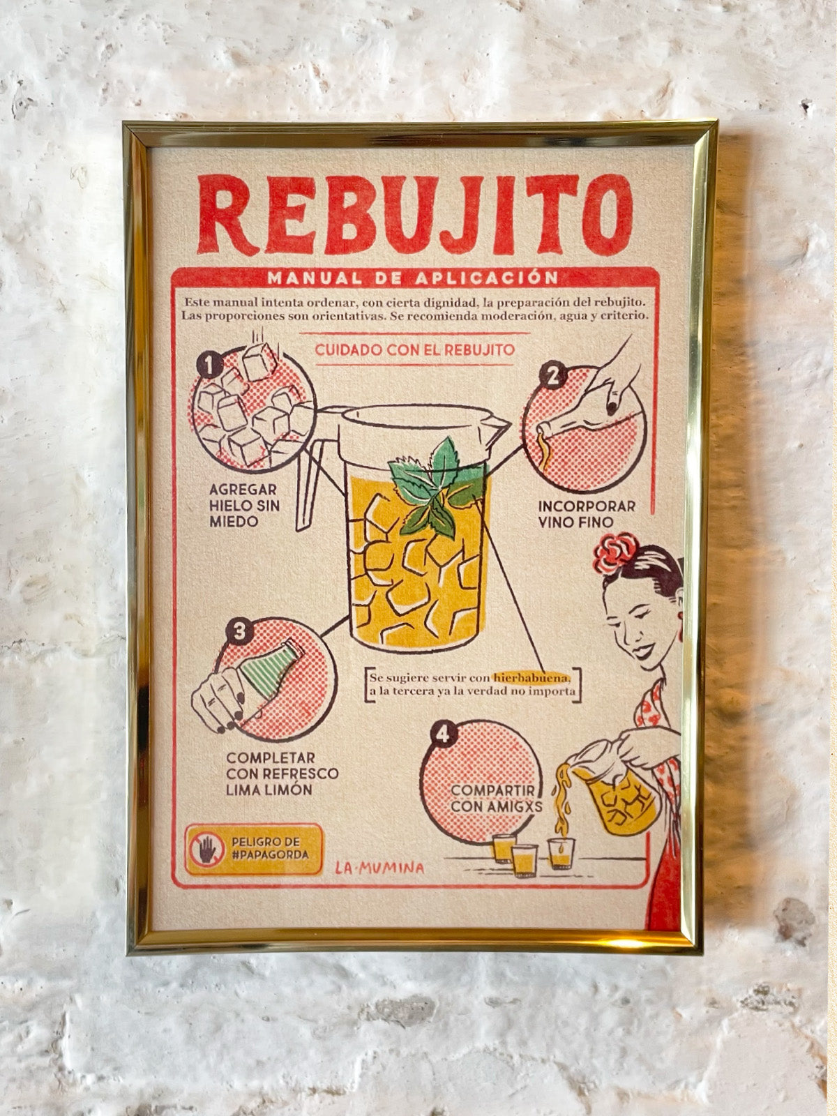 MANUAL DE APLICACIÓN: REBUJITO